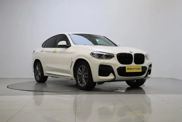 BMW BMW X4 xDrive25i M sports suit