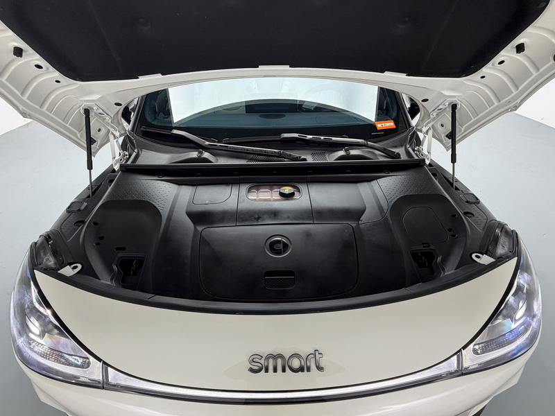 smart Smart Elf # 1 2024