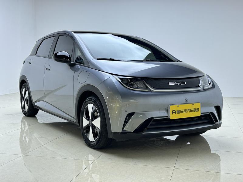 BYD dolphin 2023