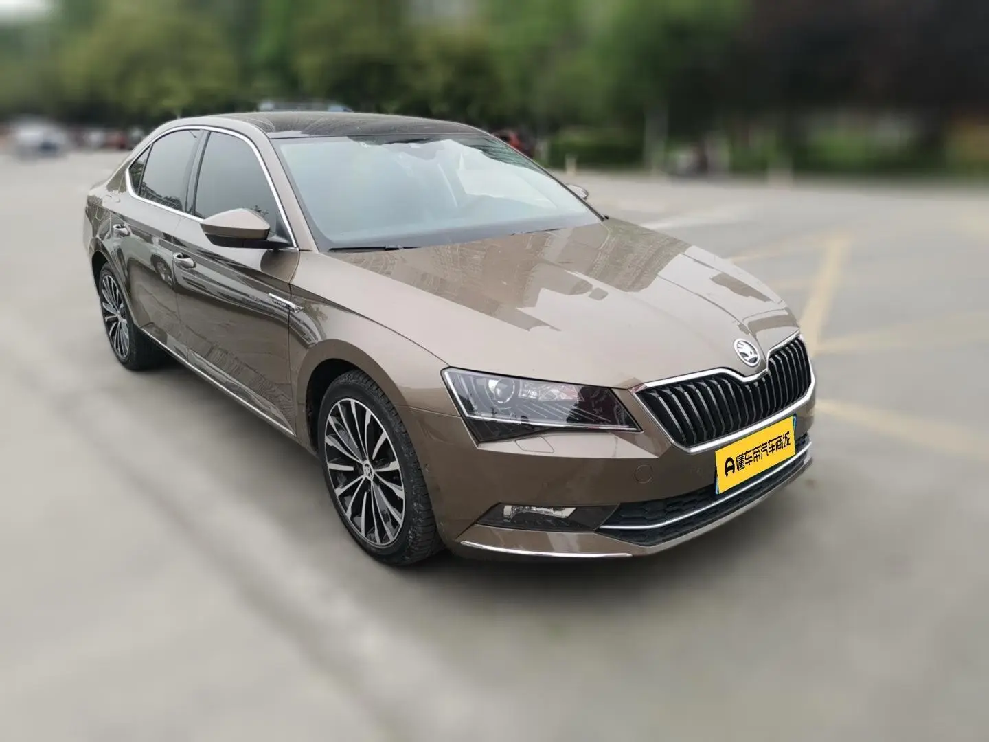 Skoda Speed pie ZI330 DSG Smart Edition