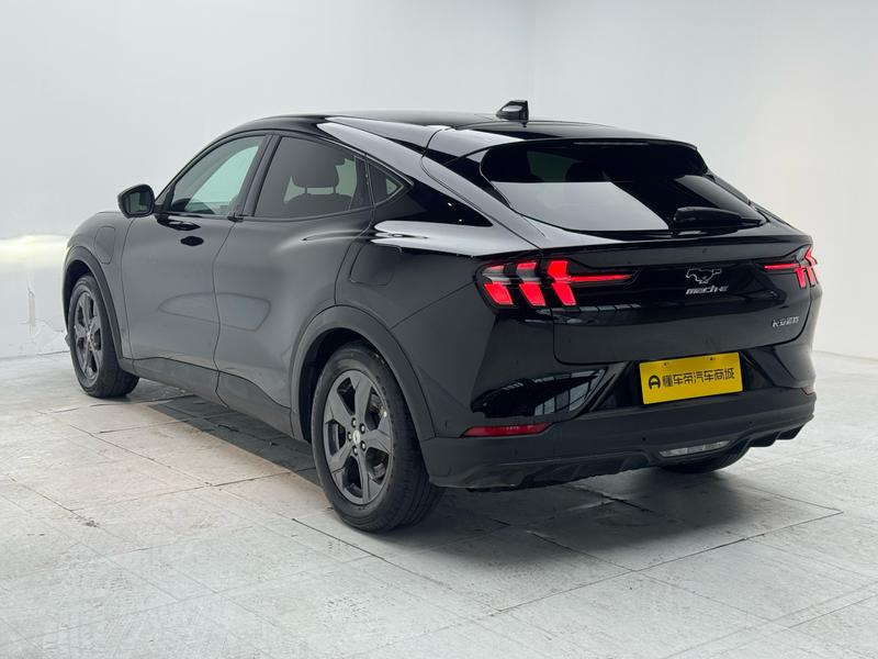 Ford Ford Electric Horse 2021