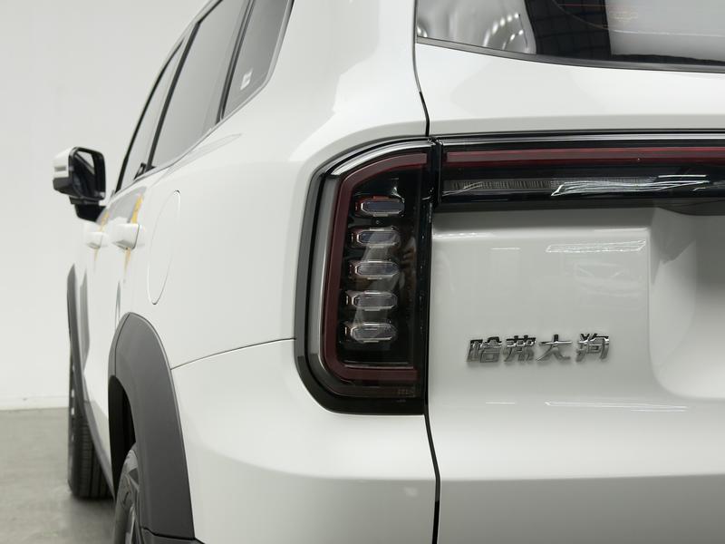 Haval Haval Big Dog 2024
