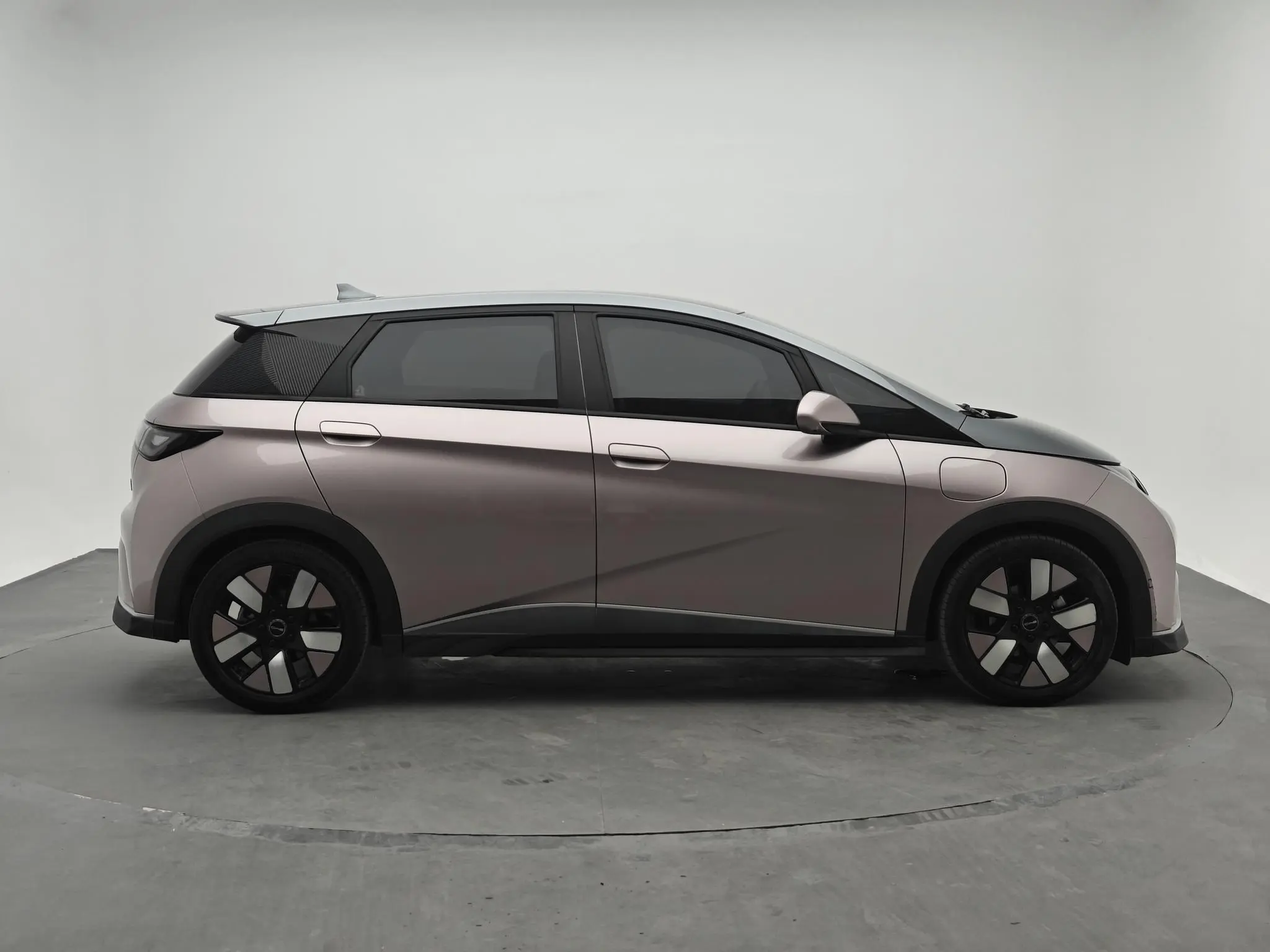 BYD dolphin Knight Edition