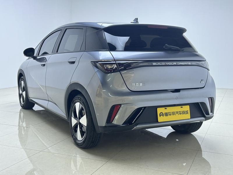 BYD dolphin 2023