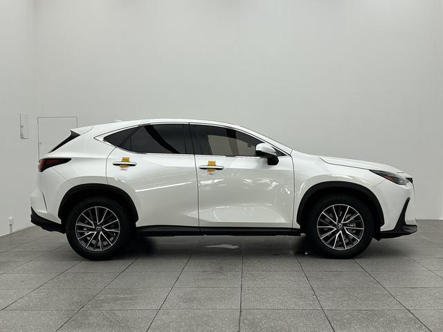 Lexus Lexus NX 2023
