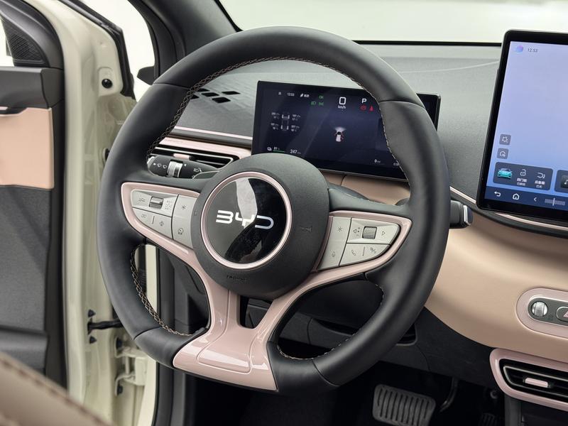 BYD seagull 2025