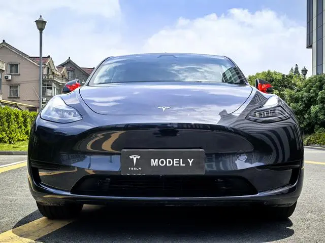 Tesla Model Y Rear-wheel drive version