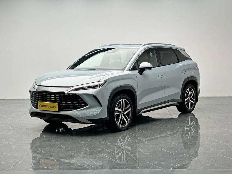 BYD Song L DM 2024