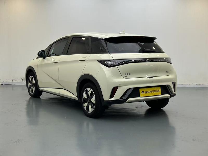 BYD dolphin 2025