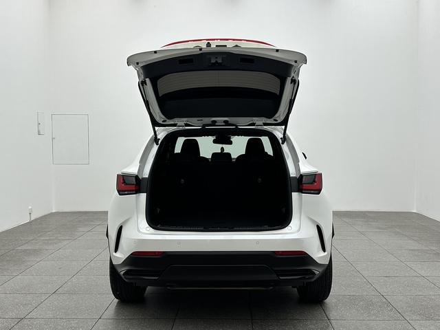 Lexus Lexus NX 2023