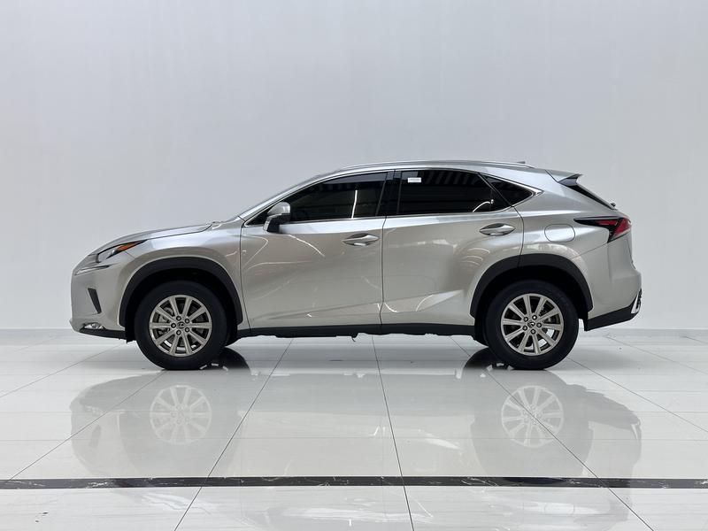Lexus Lexus NX 2020