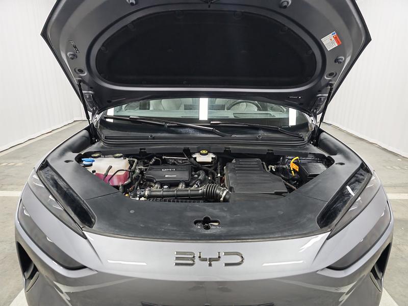 BYD Sea Lion 06DM 2025