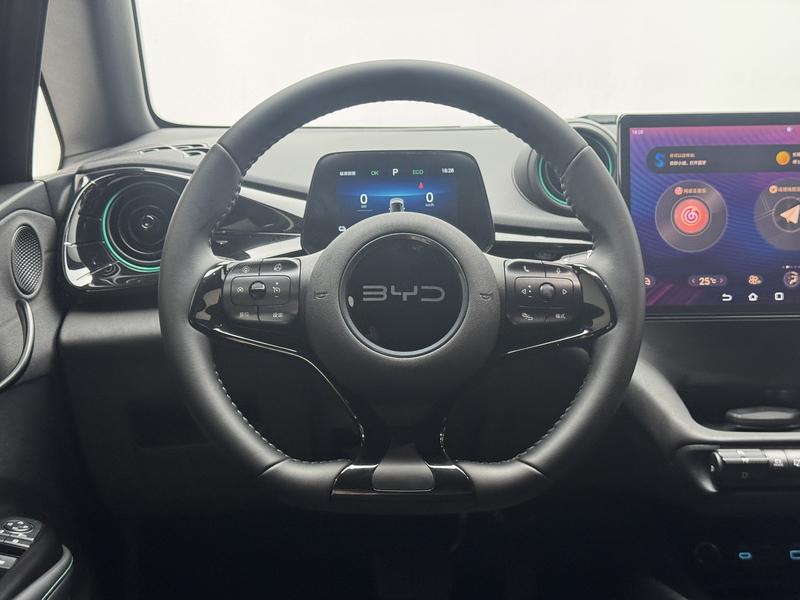 BYD dolphin 2025