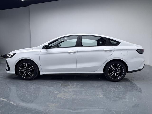 Geely Binrui 2024