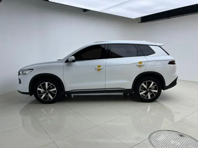 BYD Song Pro DM DM-i Champion Edition 71km Leading Type