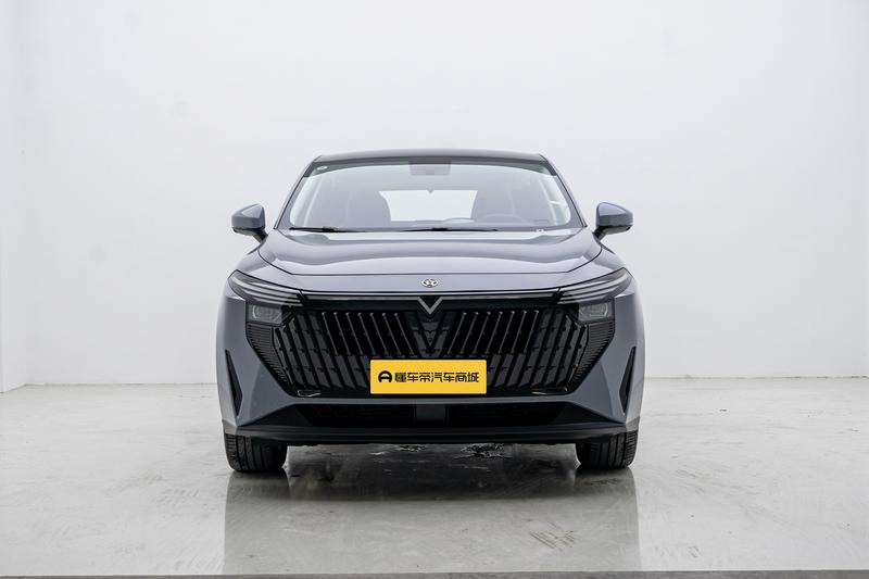 Venucia Qichen Big V DD-i 2023