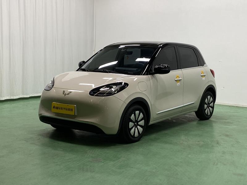 Wuling Wuling Binguo 2024