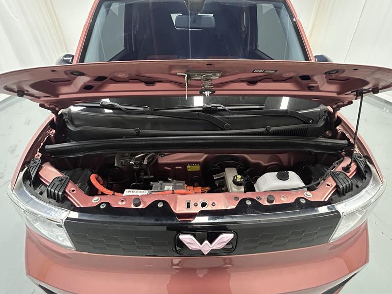 Wuling Wuling Hongguang MINIEV 2020