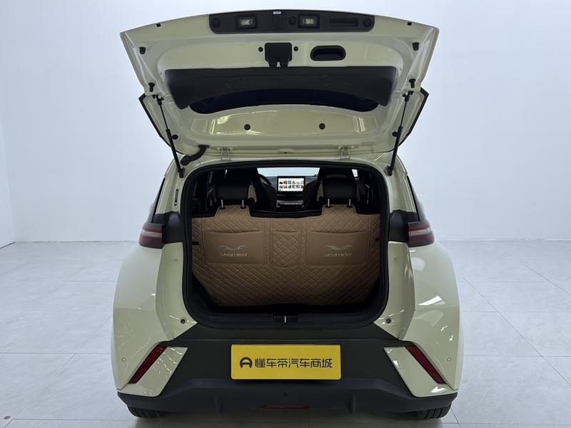 BYD seagull 2024
