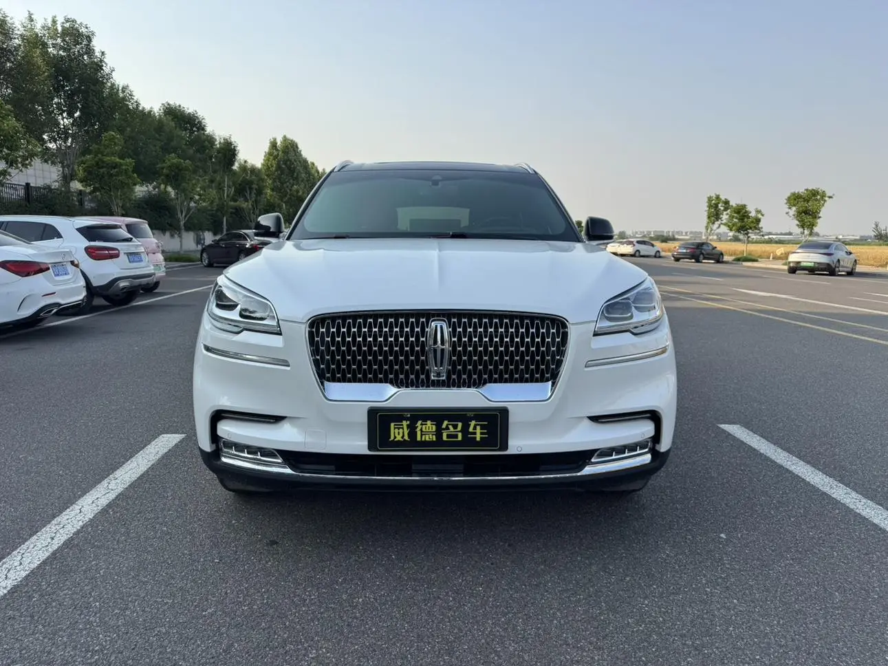 Lincoln Flying home 3.0T V6 four-wheel drive Executive Edition