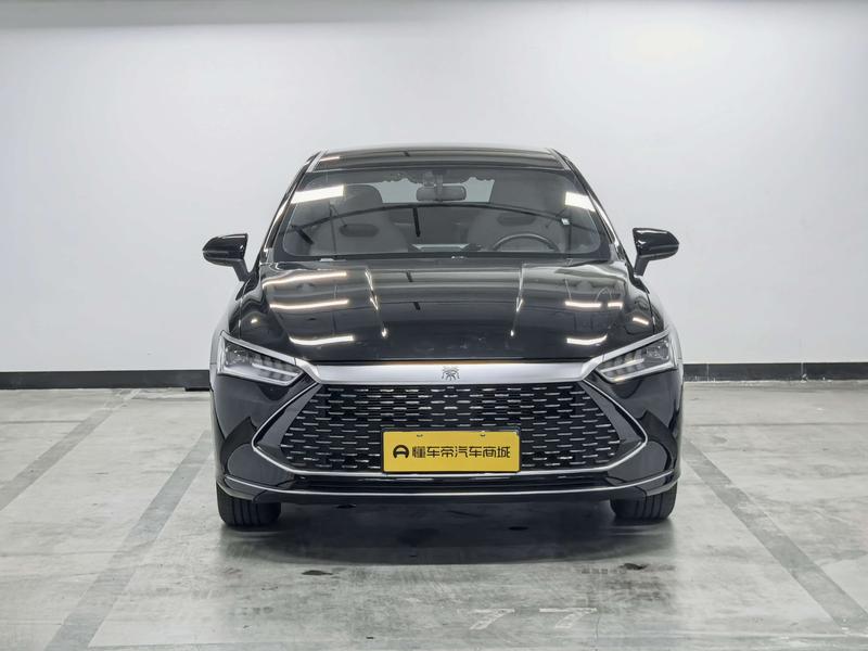 BYD Qin PLUS DM 2024