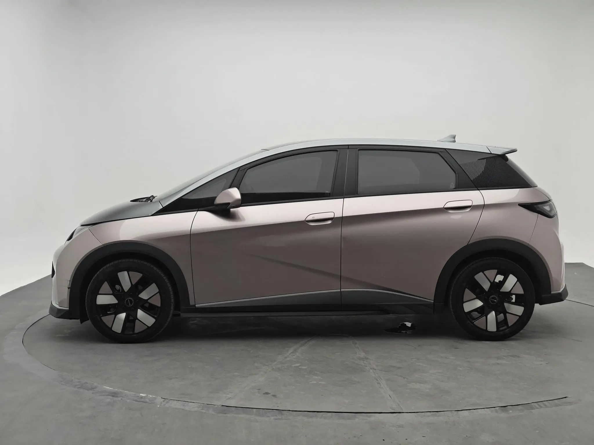 BYD dolphin Knight Edition