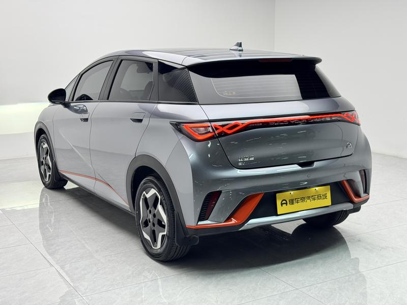 BYD dolphin 2021