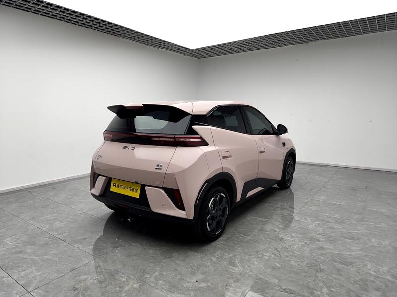 BYD seagull 2025