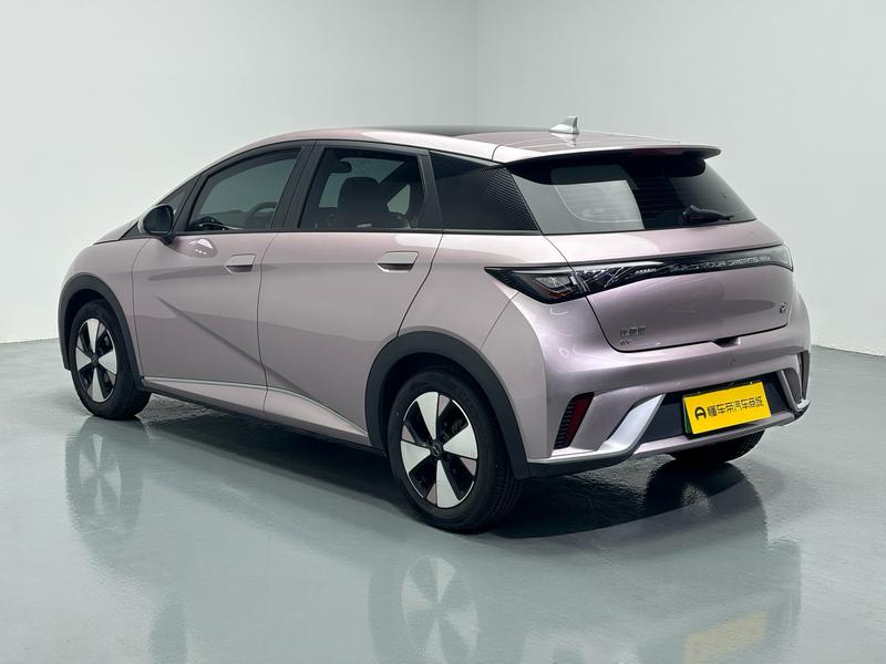 BYD dolphin 2023