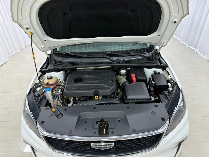 Geely Binrui 2021