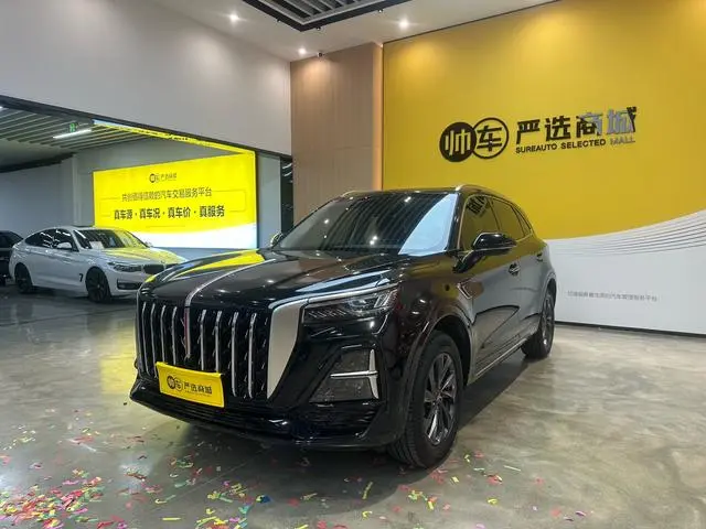 Hongqi Hongqi HS5 2.0T Qixiang Pro 500,000 Commemorative Edition