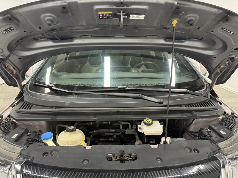 BYD dolphin 2021