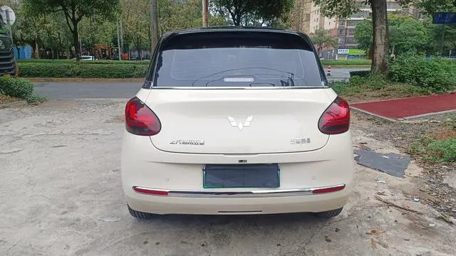 Wuling Wuling Bingguo 333KM consonant interconnection model