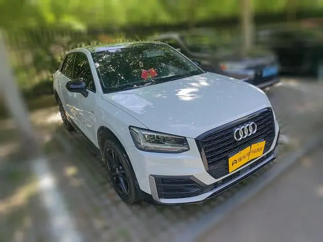 Audi Audi Q2L 35TFSI aggressive dynamic type