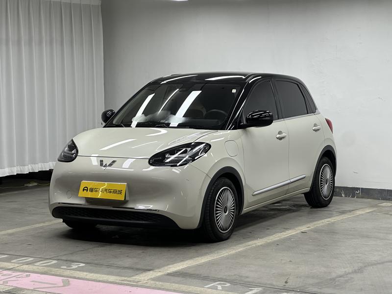 Wuling Wuling Binguo 2023