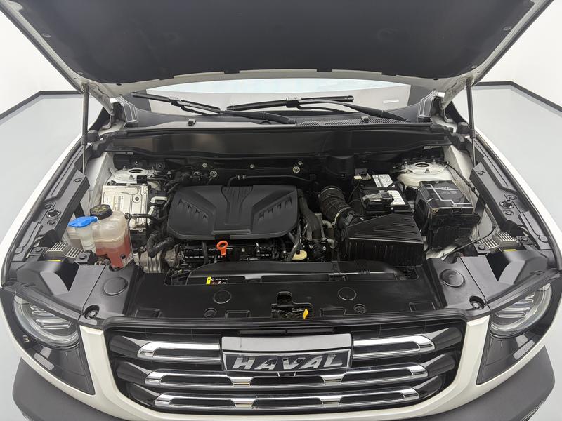 Haval Haval Big Dog 2021