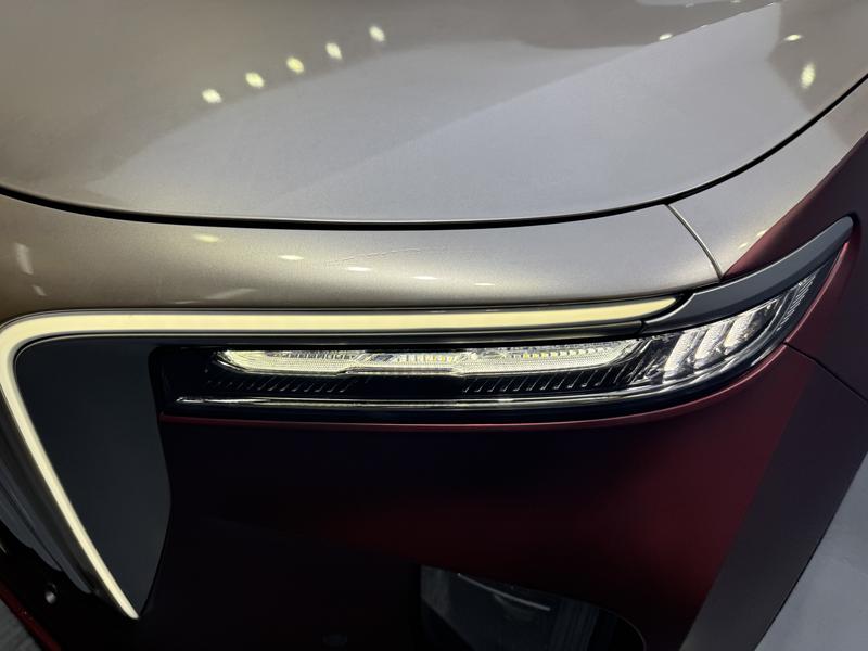 Hongqi Red Flag E-HS9 2020