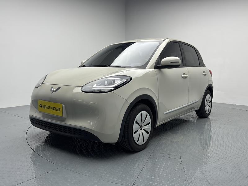 Wuling Wuling Binguo 2023