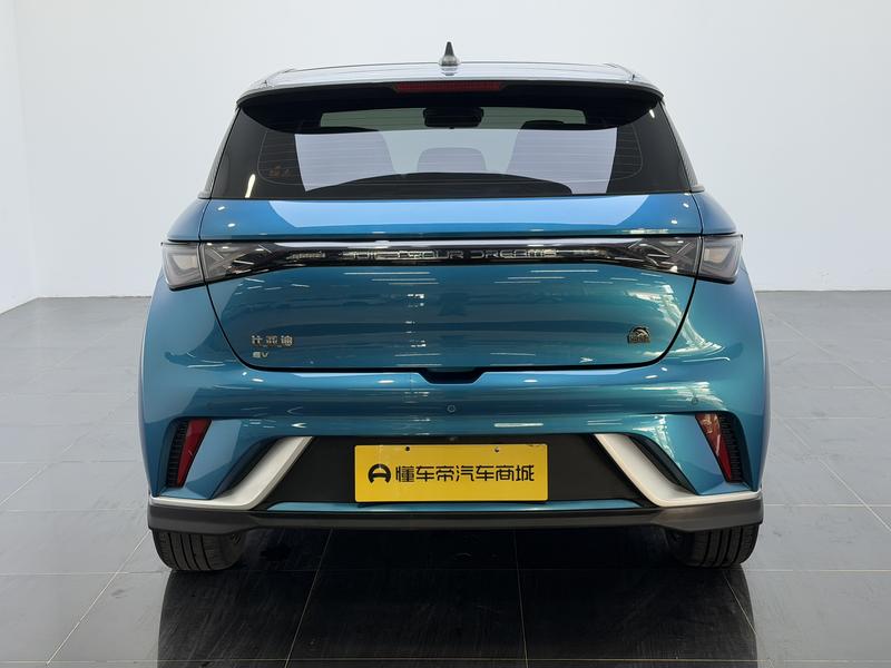 BYD dolphin 2021