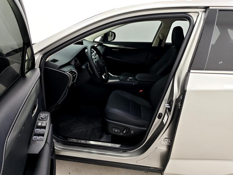 Lexus Lexus NX 2020