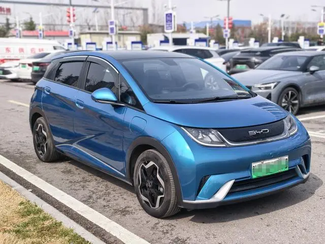 BYD dolphin Fashion edition