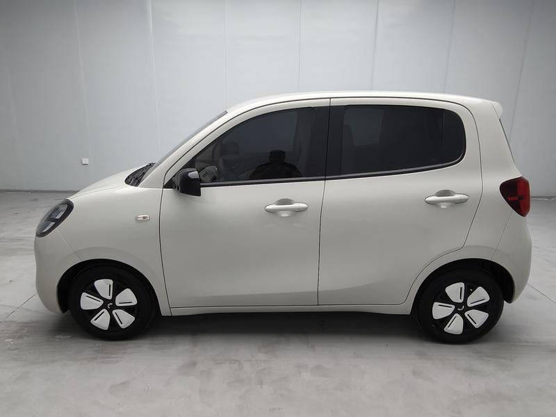 Wuling Wuling Hongguang MINIEV 2025