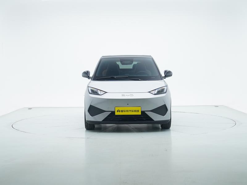 BYD seagull 2025