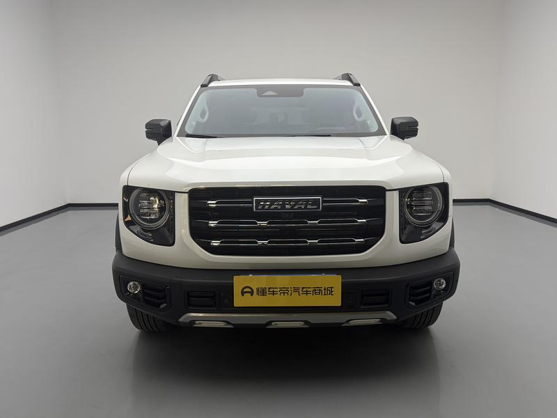 Haval Haval Big Dog 2021