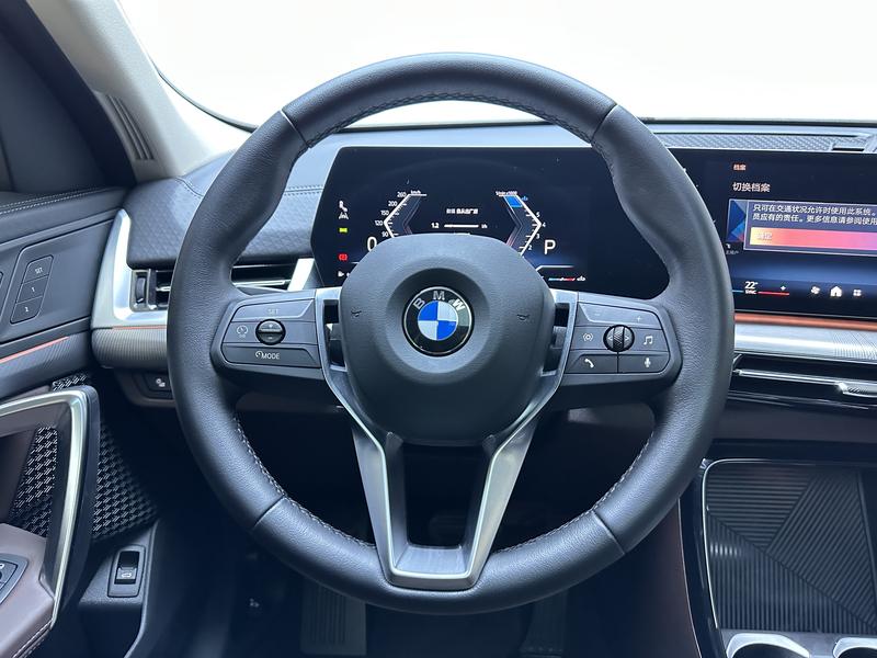 BMW BMW X2 (imported) 2024