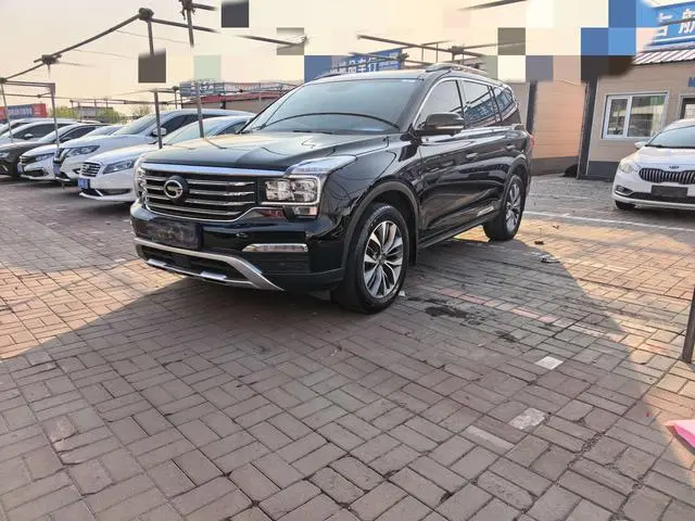 GAC Trumpchi GS8 320T two-wheel drive luxury Zhilian Edition 7 seats