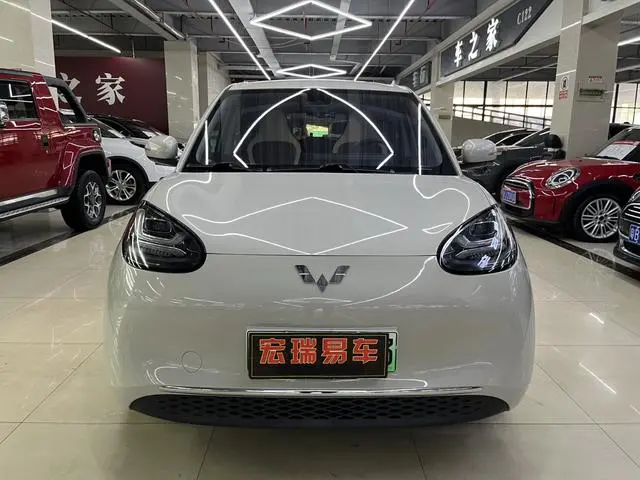 Wuling Wuling Bingguo 333KM Enjoy+
