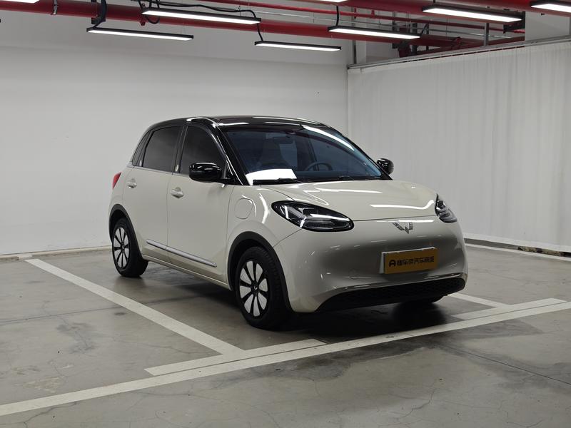 Wuling Wuling Binguo 2024