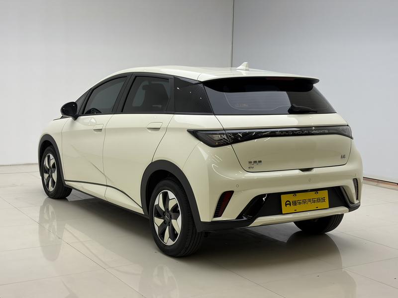 BYD dolphin 2024