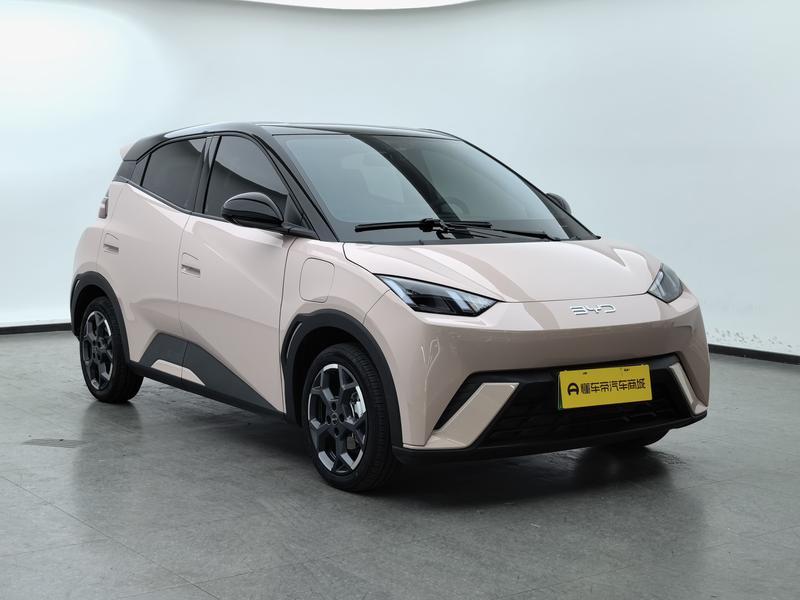 BYD seagull 2025